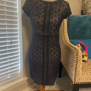 Max & Cleo Black Lace Mini Dress